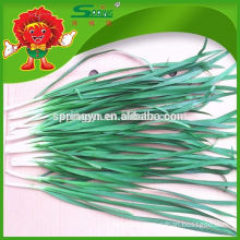 2015 Fresh chives for sell